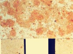 耐火材料玻璃窯用硅磚有哪些性能要求？